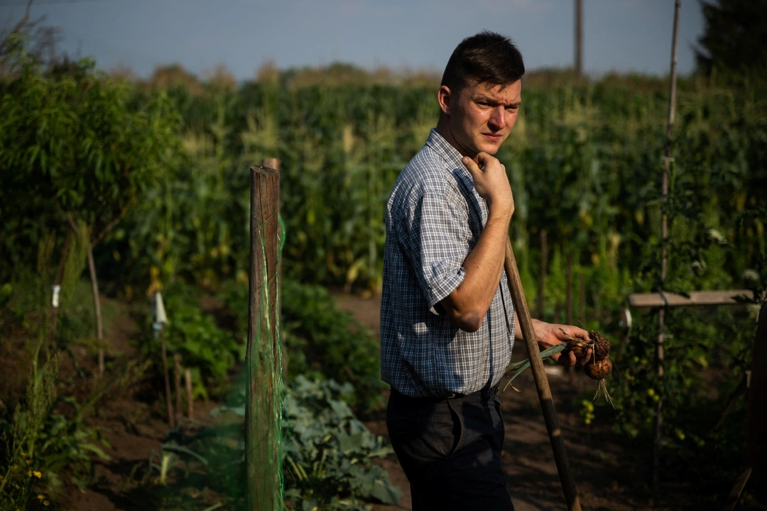 Mihaly Pogany, 29, looks at his wife Petra Pogany-Bagos (not pictured), 24, as he collects onions from the vegetable garden at his farm near Kecskemet, Hungary, July 16, 2023.  REUTERS/Marton Monus
