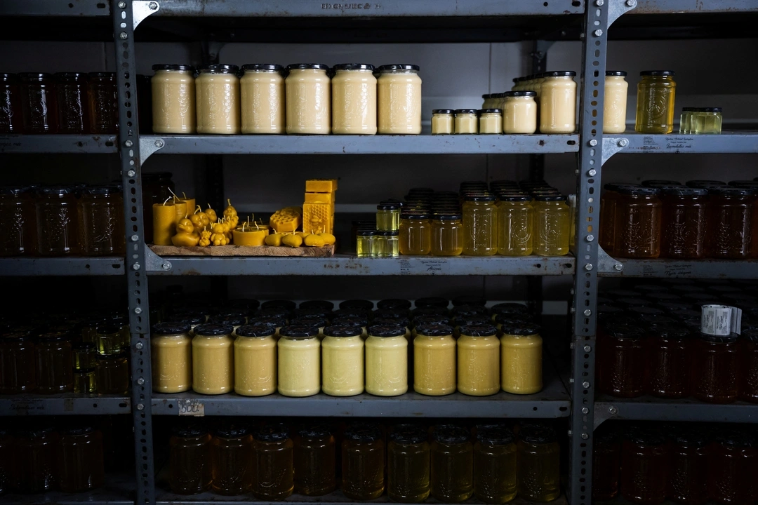 Jars full of honey from beekeeper Krisztian Kisjuhasz, 41, sit on shelfs in Ladanybe, Hungary, March 7, 2024. REUTERS/Marton Monus