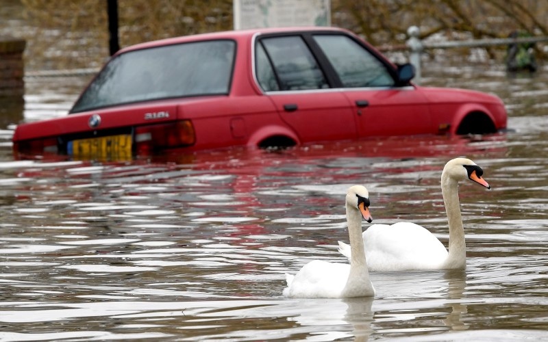 FILE PHOTO: Swans swim past a car submerged under flood water on a residential street in Richmond, west London, Britain, April 1, 2018. REUTERS/Toby Melville/File Photo