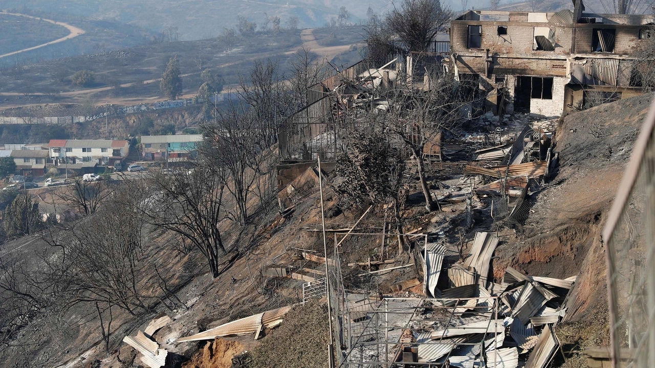 A view shows burned houses following the spread of wildfires in Vina del Mar, Chile February 3, 2024. REUTERS/Rodrigo Garrido