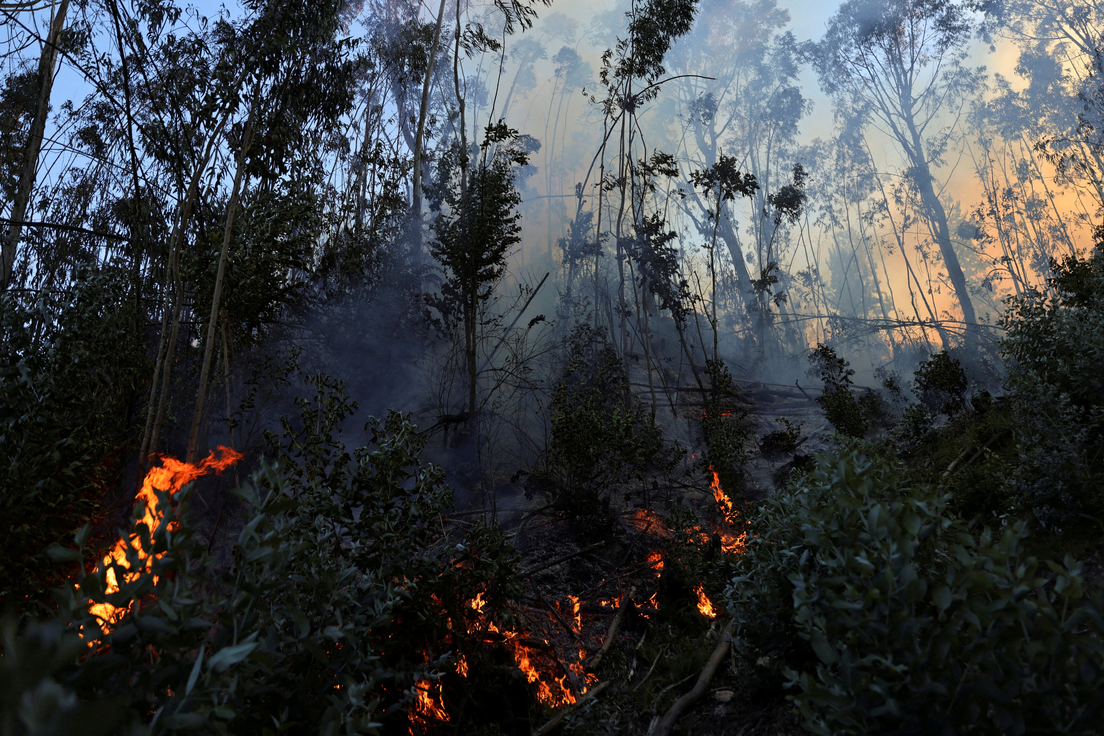 FILE PHOTO: Smoke and fire rise from a forest fire in Nemocon, Colombia, January 25, 2024. REUTERS/Luisa Gonzalez/File Photo