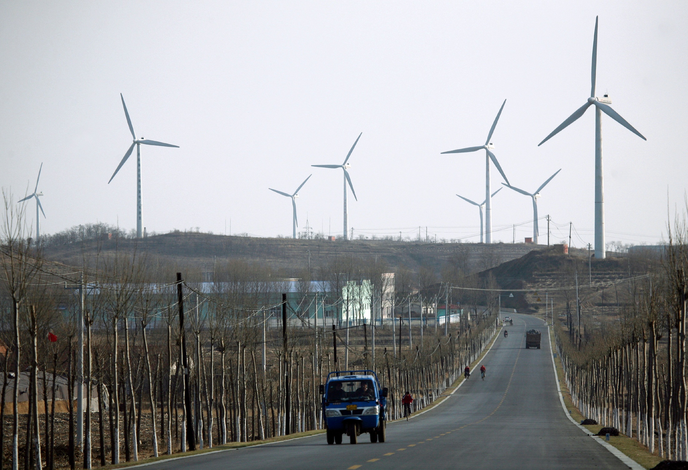 A vehicle drives past a wind power plant in Donggang, Liaoning province November 28, 2009. REUTERS/Jacky Chen/File Photo